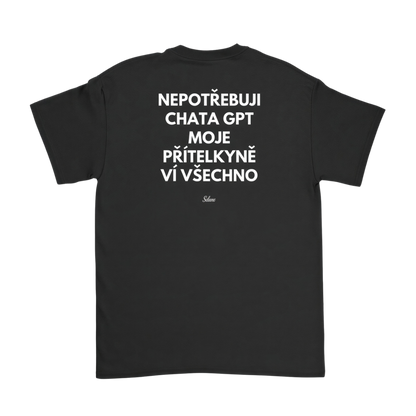 Nepotřebuji Chata GPT, moje přítelkyně